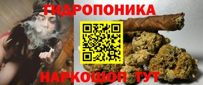 дурь Боровичи