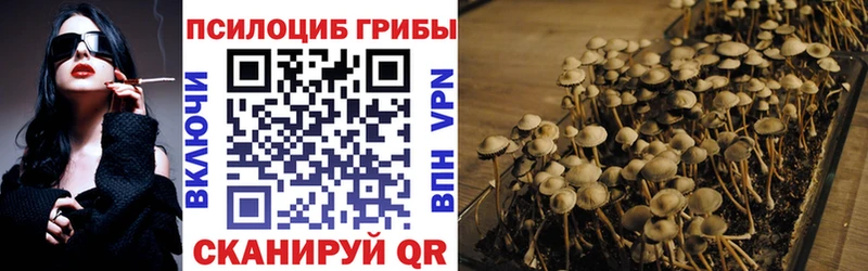 Галлюциногенные грибы мицелий Петровск