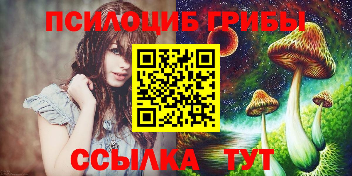дарнет шоп  Вход с VPN  Петровск  Псилоцибиновые грибы прущие грибы  Псилоцибиновые грибы мухоморы 